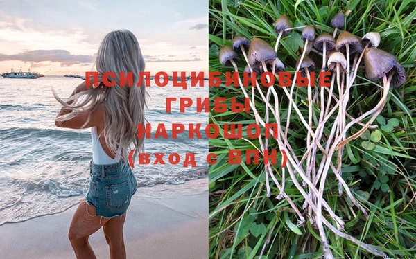 гашиш Богданович