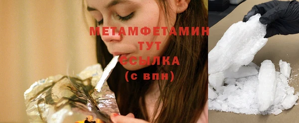 гидра Богородск