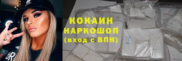 гидра Богородск
