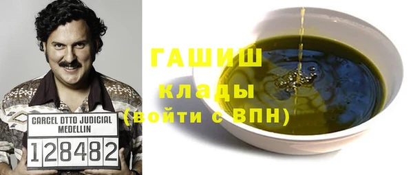 гидра Богородск