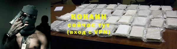 гидра Богородск