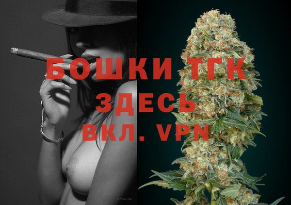 гашиш Богданович