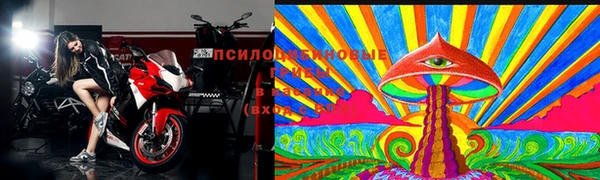 гашиш Богданович