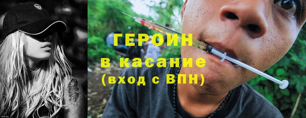 гидра Богородск