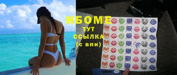 гидра Богородск